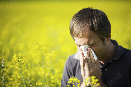Photo: Man blowing his nose in canola field Man blowing his nose in canola field