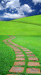 Stone walkway and the garden