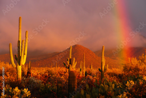 Photo: Rainbow sunset at the Saguaro National Park, Arizona, USA Rainbow sunset at the Saguaro National Park, Arizona, USA