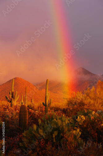 Photo: Rainbow sunset at the Saguaro National Park, Arizona, USA Rainbow sunset at the Saguaro National Park, Arizona, USA