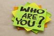 Who are you question