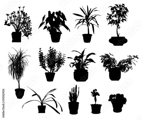 Vector: silhouette of different potted plants vector silhouette of different potted plants vector