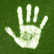 Grass hand print