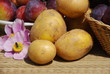 Kartoffelernte Pflaumenernte Hafer