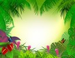 tropical forest background tropical forest background