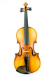 Old Violin