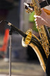 Tenor Sax Musician holding the instrument at the microphone