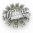 Affiliate Marketing Referral Network Money Generating Plan