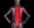 X-ray illustration of male human back pain pain.