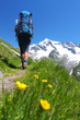 Photo: Hiker on a mountain path in the Austrian Alps Hiker on a mountain path in the Austrian Alps