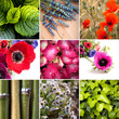 Floral collage - Collage floreale
