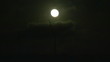 Windturbine and full moon in the Netherlands