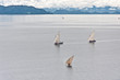 barques malgaches, rade de Nosy Be, Madagascar