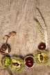 Autumn frame with chestnuts
