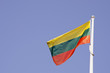 Lithuanina tricolor flag. Lithuanina tricolor flag.