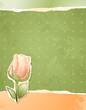 Vintage background with rose Vintage background with rose