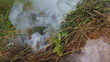 Grass fire