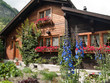 Chalet et jardin de Zermatt