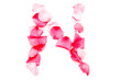 Pink Petal Letter - Capital N