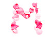 Pink Petal Letter - Capital M