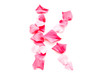 Pink Petal Letter - Capital K