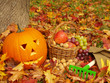 autumn background