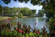 Framed Lake