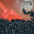 Blaubeeren
