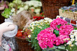 Adorable little girl girl smelling flowers