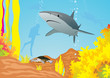 Shark and divers