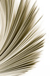 Magazine pages