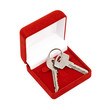 keys in red gift box isolated