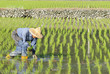 Photo: farmer. farmer.