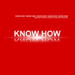 Vektor: Know How Know How