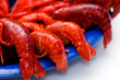 Crayfish