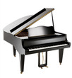 Grand Piano