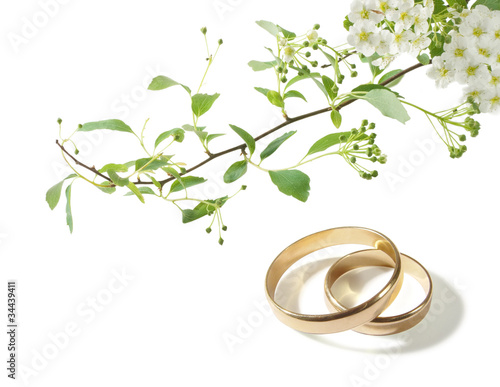Photo: wedding rings and white flowers wedding rings and white flowers