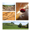 Vin, bouteille, raisin, vigne, œnologie, boisson, Saint-Emilion