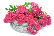 Basket with roses in a gift for mum Basket with roses in a gift for mum