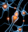 Synapse 2