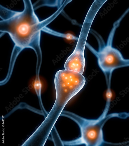 Illustration: Synapse 2 Synapse 2