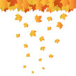 Realistic autumn leafs Realistic autumn leafs