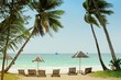 lounges on a beach in shade of palm trees