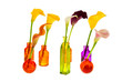 Calla flowers