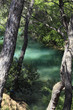 Area of the Seven Springs
