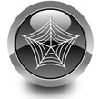 Spider glossy icon
