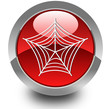 Spider glossy icon