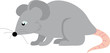 Vector: ratón ratón