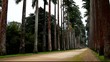 Jardim BotÃ¢nico, Rio de Janeiro