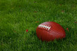 Wet football on the grass Wet football on the grass